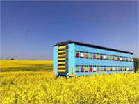 Nakil işlemlerindeki kovan taşıma baraka kurma ve konaklamada büyük kolaylık sağlamaktadır Etkinliği yüksek olan yeni koloni yönetimi uygulamasıyla verimliliği arttırır