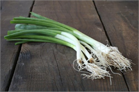 Birkaç gün arayla suyunu değiştirmek