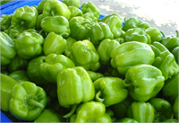 Dolmalık Biber Dolmalık biberde taze kaliteli sebze ve meyveleri seçmek gerekir Kurutma öncesinde iyice yıkanmalı ve içi temizlenmelidir