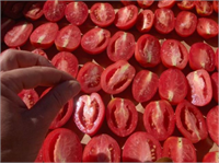 İkiye bölünerek tel ızgaralar üzerine sıralanmalıdır Kururken suyunu salacağı için suyun akıp gidebileceği bir kurutma yapılmalıdır