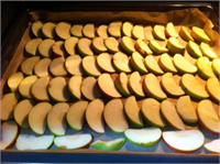 Elma Kış hazırlıklarının yeni gözdesi elma Kurutma işleminde elmalar iyice yıkanmalıdır İsteye göre elmalar dilimlenerek kabuklarını soymak ya da soymamak sizin tercihinizdir