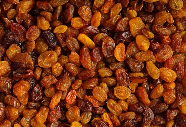 Bandırma sıvısı olarak potasyum karbonat ile buna zeytinyağı ilave edilmiş şekli bazen de küllü su zeytinyağı karışımı kullanılmaktadır Bandırma işlemi uygulanan üzümler toprak kağıt beton veya tel sergi yerlerinde kurutulmaktadır