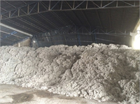 Çırçır fabrikalarında kütlünün işlenmesi esnasında da elyafın içine karışmaktadır Bu elyaflardan elde edilen iplik ve kumaşların boyanmasında büyük problemler ortaya çıkmakta ve kumaşın kalitesini bozup değerini düşürmektedir