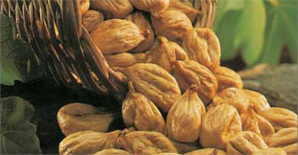 Protein vitamin ve çeşitli mineraller açısından oldukça değerli bir besin olan incir tüketildiği zaman bağışıklık sistemini güçlendirip vücutta hastalıklara karşı bir kalkan etkisi oluşturuyor
