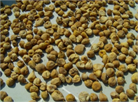 İncir Nasıl Kurutulur İncir güneşte güneş kolektörü sistemlerinde ve elektrikli meyve sebze kurutma makinelerinde kurutulabilir Güneşte kurutma yöntemi en çok kullanılan yöntemdir