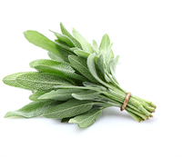 Boğaz enfeksiyonları diş iltihaplanmaları ve ağız yaraları için yapılan ilaçların katkı maddesidir Adaçayı yaprakları ve uçucu yağı halk hekimliğinde yatıştırıcı ağrı kesici ter kesici balgam söktürücü soğuk algınlığını önleyici adale ağrılarını giderici midevi ve dezenfektan başta olmak üzere pek çok amaçlar için yaygın şekilde kullanılır