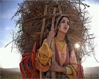 Fransa da hayvancılık çok önemlidir çünkü Fransa özellikle et ve çok sayıda değişik süt ürünleri üretir