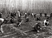 1940 yılından başlayarak tarım işlerine elverişli geniş arazisi bulunan köylerde veya onların hemen yakınlarında Köy Ensititüleri açıldı