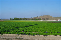 Tarım sektörünü önemli derecede etkileyen iklim olaylarından üreticilerin minumum zararla atlatabilmeleri adına üreticiyi bilgilendiren iklim değişikliği ile mücadele çalışmaları yürütülmektedir