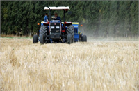 Türkiye de bulunan Tarımsal Kooperatifler ise şunlardır 1 Tarımsal kalkınma kooperatifleri Bu kooperatifler ortaklarının her türlü btikisel hayvancılık konularındaki üretimini geliştirir Ortaklarının ihtiyaçlarını temin ve tedarik ederek onların sosyal ve ekonomik yönden gelişimine katkı sağlamaktadır