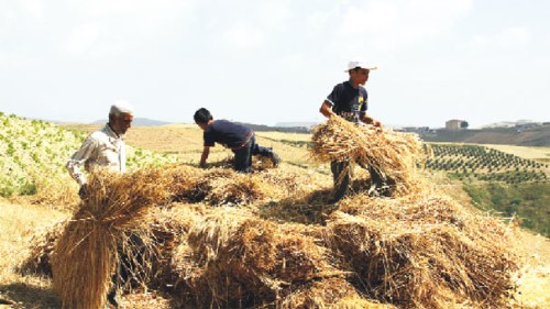 3 Tarım Satış Kooperatifleri Küçük çiftçilerin en büyük sorunlarından biri olan pazarlamaya çözüm olabilmek ve onların ürünlerini en iyi biçimde değerlendirmelerine yardımcı olmak amacıyla kurulan bir kooperatiftir