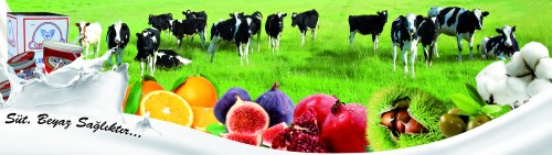 9 ÖRKOOP Ör Koop çiftçilik konusundaki ihtiyaçlarının zamanında ve yeterli düzeyde karşılanması tarımsal işletme sahiplerinin bilgi teknik ve yöntemler açısından bilgilendirilmesi için kurulmuş olup çiftçi eğitimi ve yayım hizmetlerinde kamunun yanında özel sektör sivil toplum örgütleri ve serbest tarım danışmanlarının yer almasını sağlamak amacı ile faaliyet göstermektedir