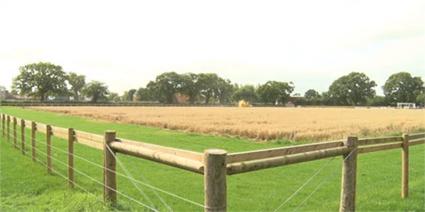 Bu Tarlada İnsanın İşi Yok