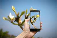 8 Bitki Hastalık Teşhis Aplikasyonu Geliştirilen bu mobil aplikasyon küçük çiftçilerin bitki hastalıklarının fotoğraf yardımı ile hızlı ve kolay bir şekilde tespit ve analiz edilmesi için düşünülmüş Uygulama bir cep sözlüğü gibi çalışıyor uzmanlar ve danışmanlar olmadan da sahada durumları anında tespit etmesi büyük önem taşıyor Tarlada şimdilik 60 a yakın teşhis sağlanabilse de bu sayının hızlı bir şekilde arttırılması hedefleniyor