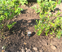 4 Topraktaki Bitkiler için Fungal Alarm Bu içerisindeki kimyasallar toprakta olan mantar sporelarını çekiyor ve içeri giren mikroorganizmalar büyüyerek cihazın içerisindeki alarm mekanizmasının tetiklenmesini sağlıyor bu sayede belli patojenlerle karşılaştığında wireless aracılığı ile çiftçiye haber gönderiliyor ve çiftçinin ona yönelik önlem alınması sağlanıyor