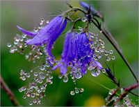 Cemre ilkbahar başlangıcında yedişer gün arayla önce havada sonra su ve toprakta oluştuğu sanılan sıcaklık artışı Arapça olan sözcük kor durumunda ateş anlamına gelir Mina Vadisi nde Arafat tan gelecek taşlarla oluşan yığınlara da cemre adı verilir adsbygoogle window adsbygoogle push