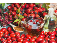 KUŞBURNU Likopen ve A B E K vitaminlerinin yanı sıra magnezyum demir gibi sahip olduğu minerallerle vücut direncini artırır Hücre yenilenmesine katkı sunar Çayı içilebilir Diyabet hastaları marmelat olarak tüketmemelidir