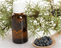 ARDIÇ YAĞI İştah açıcı olması ile birlikte aynı zamanda idrar söktürücü ve mide ağrılarında saç dökülmesinde boğaz iltihaplarında kanda ki şeker oranının düşürülmesinde deri hastalıklarında selülit tedavisinde kramplarda romatizmalarda egzamaya faydalı olan bitkisel yağlar arasındadır Ardıç yağı ardıç ağacını meyvelerinden üretilmektedir Türkiye de Marmara Bölgesi başta olmak üzere Trakya ve Ege civarında yetiştirilmektedir Piyasa Fiyatı 20ml 25 20tl