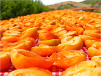 Gün kurusu yönteminde öncelikle kayısılar temizlenerek güneşin altında iki üç gün bekletilir