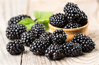 Çilekten sonra tüketicilerin en yakından tanıdığı berry türü hiç şüphesiz böğürtlen Çileğe oranla daha az C vitamini ancak daha çok lif magnezyum ve E vitamini içeren böğürtlen sağlıklı sofraların olmazsa olmazı