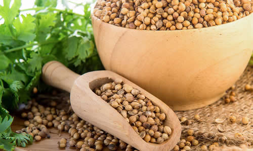 Kişniş tohumu 2 bardak kaynar suya 1 çay kaşığı ezilmiş kişniş tohumu ekleyin 10 dakika demleyin ve için İlaçsız bir şekilde baş ağrınızı geçirmiş olursunuz