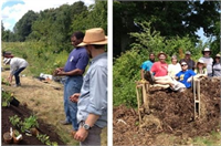 Dünyayı Kurtaracak 7 Tarım Yeniliği