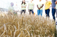 Dünyayı Kurtaracak 7 Tarım Yeniliği