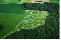 Dünyayı Kurtaracak 7 Tarım Yeniliği