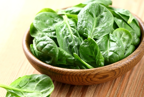 Ispanak Demir deposu olarak bilinen ıspanak ayrıca A B C ve E vitaminlerinden magnezyum fosfor ve iyot mineralleri ve protein açısından da çok zengin bir sebzedir Bu nedenle vücudun direncini arttırır özellikle bahar aylarında nükseden hastalıklara karşı vücudu korur Kemik ve dişleri de güçlendirir Diş çürümelerine karşı koruyucudur Ispanağı salata olarak kıymalı veya zeytinyağlı yemek olarak hata atıştırmalıklar içerisinde bile kullanabiliriz Tüm bu faydalarının yanında ıspanak gut hastalarına eklem iltihabı olanlara böbrek taşı şikayeti olanlara tavsiye edilmez