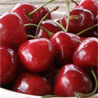 ŞEKER HASTASININ YİYEBİLDİĞİ TEK TATLI Kirazda bulunan levüloz adlı şeker kolay sindirilebildiği için şeker hastaları hiçbir tehlike oluşmadan kiraz yiyebiliyor Ayrıca içerdiği madensel madde ve vitaminler nedeniyle hastalıklara karşı dayanıklılığı artırıyor