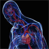 Bu Besinler Hipertansiyonu Düşürüyor