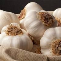 Sarımsak İçinde 33 çeşit kükürt bileşği vardır Aynı zamanda çinko ve C vitamininden de zengindir Damar tıkanıklığı önlemesinin yanında tansiyon düşürücü olarak da bilinmektedir