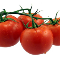 Domatesteki en kuvvetli karetonoid likopendir Bu bileşenler oksidasyonu önlediği için platelet kümeleşmesini engelleyerek kan basıncını düşürdüğü bilinmektedir