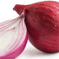 Eğer soğanı buzdolabına koyarsanız nem onları yumuşak ve küflü hale getirecektir Soğanlarınızı serin ve kuru bir yerde saklamalısınız Yeşil soğan ve Frenk soğanı içinde daha fazla su barındırdığı için buzdolabında saklanmalarında sorun yok