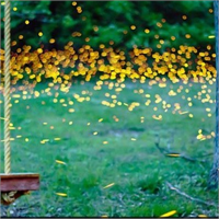 Yeterli sayıda ateş böceğinin bir araya gelmesi halinde saçtıkları ışıkta kitap okumanın mümkün olduğu ifade ediliyor