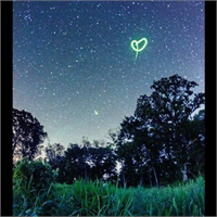 25 yaşındaki Brady birkaç saniye pozlama yoluyla ateş böceklerinin koyu renk arka plan üzerinde yarattığı parlak ışıltıları görüntüledi