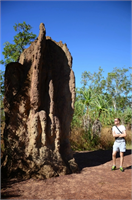 Termitler havalandırma sistemiyle yaptıkları yuvalarda özel odalar inşa ediyor Şehirdeki bireylerin bütün ihtiyaçlarını kendi içlerinde karşılayabilecek dışarıdan alışverişe ihtiyaç duymayacak bir düzen var Yuvaların içinde çocuk odaları kuluçka odası kraliçe odası tarım alanları bulunuyor Bu yuvaları yıkmak ise neredeyse imk nsız Kimi bölgelerde kaldırılması gereken yuvaları dışarıdan balyozla bile yıkmak mümkün değil Yuvalara özel yöntemlerle yer altından girilip içeriden balyozla yıkılıyor