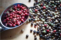 Karabiber vücutta metabolizmayı çalıştırmaya yardımcı olur İstenmeyen kalorileri yakar