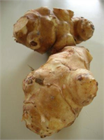 Kan şekerini de dengeler Yer el ma sı nın kan şe ke ri nin de den ge len me si ne yar dım cı ol du ğu nu vur gu la yan Us lu Bu yüz den şe ker has ta la rı nın sık lık la tü ket me sin de ya rar var dedi