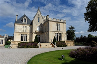 Üzüm üreticisinin yeni yardımcısı Drone