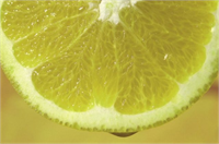 Limon aynı zamanda C vitamini B kompleks vitaminleri kalsiyum demir magnezyum potasyum ve lifle dolu bir gıda