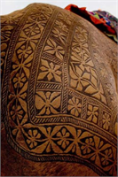 Deve ye dövme yaptılar