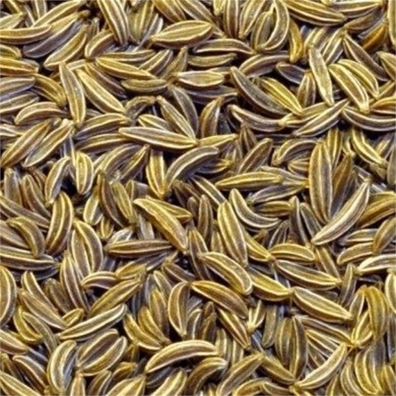 Baharat olarak da kullanılan kimyon tohumu metabolizmanın hızlanmasına destek olan bir tohumdur