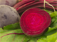 Pancar B3 B6 ve beta karoten deposu olan pancar demir magnezyum çinko ve kalsiyum açısından da oldukça zengindir Özellikle karaciğer için de faydalı olan bu besin vücudun temizlemesini sağlar Karaciğerin zehirli maddeleri yok etmesi için pancar destek sağlar Pancarın içerisindeki lif sindirimi rahatlatır ve zararlı maddelerin vücuttan atılmasına yardımcı olur