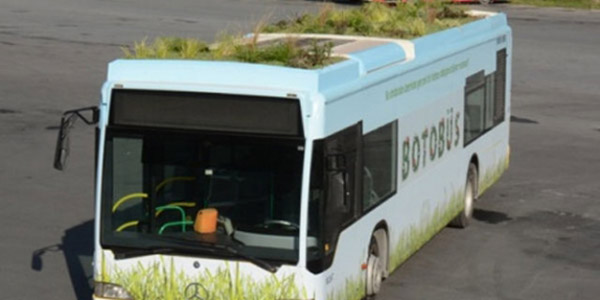 İETT den yapılan yazılı açıklamaya göre daha fazla yeşil alan fikriyle tasarlanan BOTOBÜS özellikle yaz aylarında otobüsün iç sıcaklığı noktasında tasarruf sağlayacak