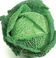 Lahana çiğ haliyle de keyifle tüketilebilen bir sebze Çok sağlıklı ve sadece 34 kalori olan demir ve kalsiyum açısından çok zengin Çiğ lahanayı sebze suyu ve portakal dilimleri ile bir araya getirip doyurucu bir öğün elde edebilirsiniz