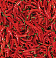 Acı biber yedikten sonra vücut 20 dakika boyunca ekstra kalori yakımına neden olan bir besin ve termojenik bir etkiye sahip Kilo kaybına neden oluyor tabii acıyla aranız iyiyse