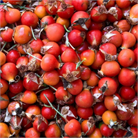 Romatizma ve eklem rahatsızlıklarının tedavisinde de etkilidir