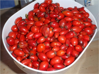 İlk kaynatma demleme değil özsularını açmak için yumuşatmadır Onun için dem pek çıkmaz