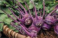 Alabaş dengeli beslenmek ve kilo vermek isteyen kişilere de fayda sağlar